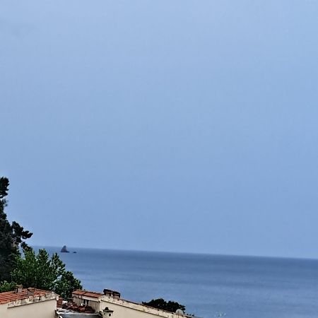 The Four Fish Apartment Petrovac Exterior photo