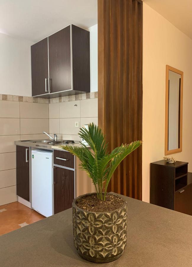 The Four Fish Apartment Petrovac Exterior photo